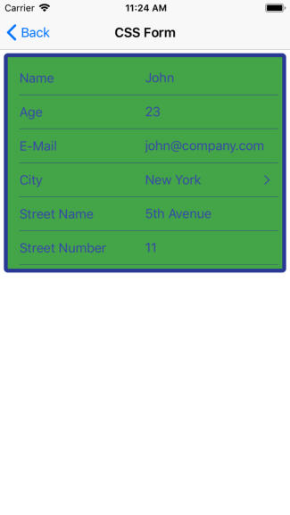 NativeScriptUI-DataForm-Styling-04-iOS