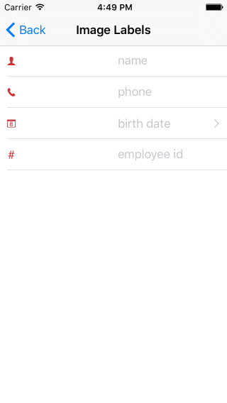 NativeScriptUI-DataForm-Image-Labels-iOS