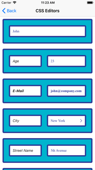 NativeScriptUI-DataForm-Styling-05-iOS